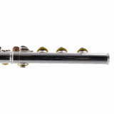 William S. Haynes Model AF580-BO 'Amadeus' Flute SN B2306138 OPEN BOX- for sale at BrassAndWinds.com
