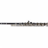 William S. Haynes Model AF580-BO 'Amadeus' Flute SN B2306138 OPEN BOX- for sale at BrassAndWinds.com