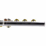 William S. Haynes Model AF580-BO 'Amadeus' Flute SN B2307638 OPEN BOX- for sale at BrassAndWinds.com
