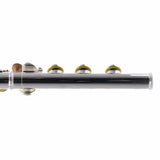 William S. Haynes Model AF580-BO 'Amadeus' Flute SN B2307644 OPEN BOX- for sale at BrassAndWinds.com