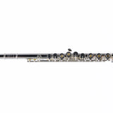 William S. Haynes Model AF580-BO 'Amadeus' Flute SN B2307644 OPEN BOX- for sale at BrassAndWinds.com