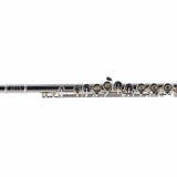 William S. Haynes Model AF580-BO 'Amadeus' Flute SN B2307646 OPEN BOX- for sale at BrassAndWinds.com