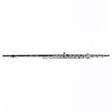 William S. Haynes Model AF580-BO 'Amadeus' Flute SN B2307646 OPEN BOX- for sale at BrassAndWinds.com