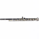 William S. Haynes Model AF580-BO 'Amadeus' Flute SN B2307652 OPEN BOX- for sale at BrassAndWinds.com