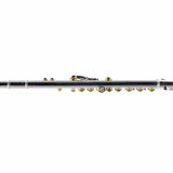 William S. Haynes Model AF580-BO 'Amadeus' Flute SN B2307652 OPEN BOX- for sale at BrassAndWinds.com