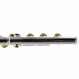 William S. Haynes Model AF580SE-BO 'Amadeus' Flute SN 2304697 OPEN BOX- for sale at BrassAndWinds.com