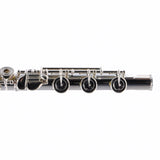 William S. Haynes Model AF580SE-BO 'Amadeus' Flute SN 2304698 OPEN BOX- for sale at BrassAndWinds.com