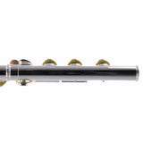 William S. Haynes Model AF580SE-BO 'Amadeus' Flute SN 2306101 OPEN BOX- for sale at BrassAndWinds.com