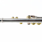 William S. Haynes Model AF680-BO 'Amadeus' Flute SN B2400433 OPEN BOX- for sale at BrassAndWinds.com