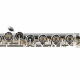 William S. Haynes Model AF680-BO 'Amadeus' Flute SN B2400433 OPEN BOX- for sale at BrassAndWinds.com