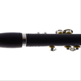 William S. Haynes Model AP86T 'Amadeus' Grenadilla Piccolo SN A1536