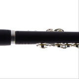 William S. Haynes Model AP86W 'Amadeus' Grenadilla Piccolo SN A1612