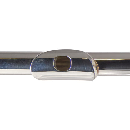 William S. Haynes Model Q1 Flute - B Foot, Open Holes, Offset G