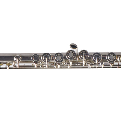 William S. Haynes Model Q1 Flute - B Foot, Open Holes, Offset G