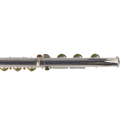 William S. Haynes Model Q1 Flute - B Foot, Open Holes, Offset G