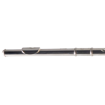 William S. Haynes Model Q2 Flute with C Foot, Open Holes, Inline G