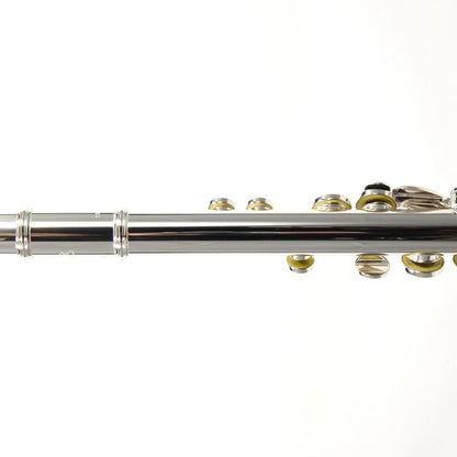 William S. Haynes Model Q2 OC#B AGR Flute - Open Hole/ Offset G/ B Foot