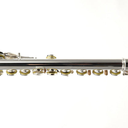 William S. Haynes Model Q2 OC#B AGR Flute - Open Hole/ Offset G/ B Foot