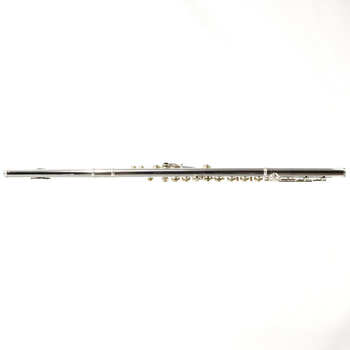 William S. Haynes Model Q2 OC#B AGR Flute - Open Hole/ Offset G/ B Foot