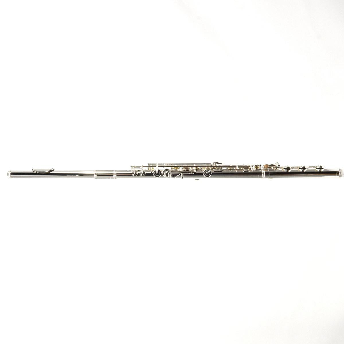 William S. Haynes Model Q2 OC#B AGR Flute - Open Hole/ Offset G/ B Foot