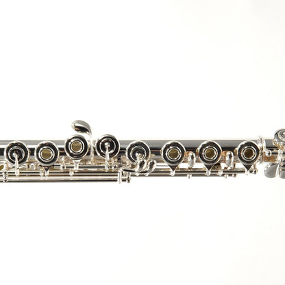 William S. Haynes Model Q2 OC#B AGR Flute - Open Hole/ Offset G/ B Foot