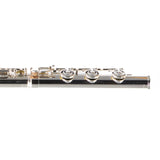 William S. Haynes Model Q2 OEC#B AGR Professional Flute SN 100871 OPEN BOX