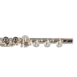 William S. Haynes Model Q2 OEC#B AGR Professional Flute SN 100881 OPEN BOX