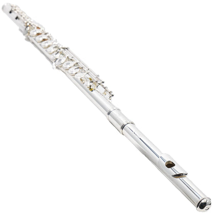 William S. Haynes Q2 'James Galway' Professional Flute SN 6676