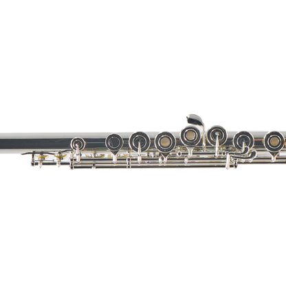 William S. Haynes Q2 'James Galway' Professional Flute SN 6676