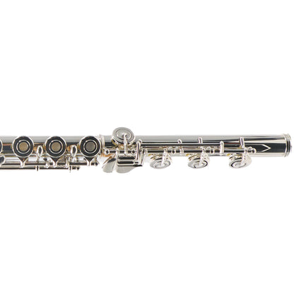 William S. Haynes Q2 'James Galway' Professional Flute SN 6676
