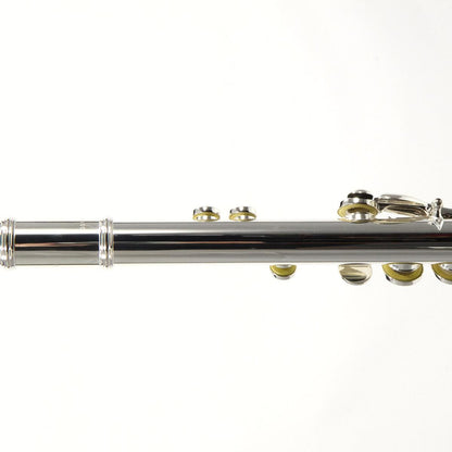 William S. Haynes Q2 OEB 14KR Intermediate Silver Flute with 14K Gold Riser