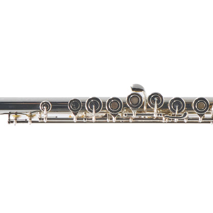 William S. Haynes Q2 Professional Solid Silver Flute with Classic Headjoint