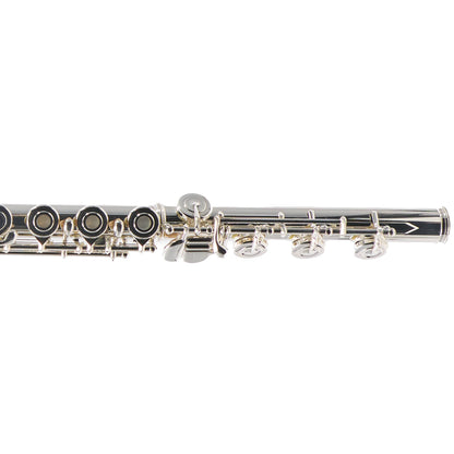 William S. Haynes Q2 Professional Solid Silver Flute with Classic Headjoint
