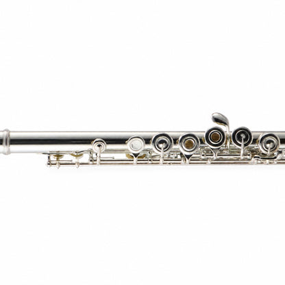 William S. Haynes Q4 Professional Concert Flute in Solid Silver