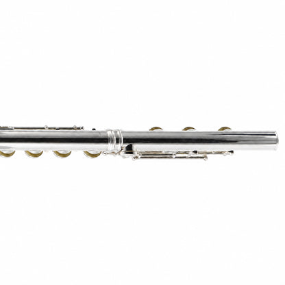 William S. Haynes Q4 Professional Concert Flute in Solid Silver