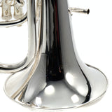 Willson Model 2900TA4/1S Compensating Euphonium SN W9380 GORGEOUS- for sale at BrassAndWinds.com