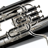 Willson Model 2900TA4/1TS Compensating Euphonium BRAND NEW- for sale at BrassAndWinds.com