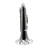 Willson Model 2900TA4/1TS Compensating Euphonium BRAND NEW- for sale at BrassAndWinds.com