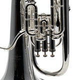 Willson Model 2900TA4/1TS Compensating Euphonium BRAND NEW- for sale at BrassAndWinds.com