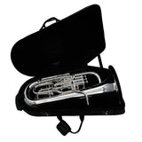 Willson Model 2900TA4/1TS Compensating Euphonium BRAND NEW- for sale at BrassAndWinds.com