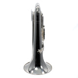 Willson Model 2900TA4/3-TS Compensating Euphonium With Trigger MINT CONDITION- for sale at BrassAndWinds.com