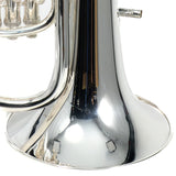 Willson Model 2900TA4/3S Compensating Euphonium SN W9245 OPEN BOX- for sale at BrassAndWinds.com