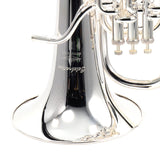 Willson Model 2960TA4/3S 'Celebration' Compensating Euphonium OPEN BOX