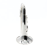 Willson Model 2960TA4/3TS 'Celebration' Compensating Euphonium BRAND NEW- for sale at BrassAndWinds.com