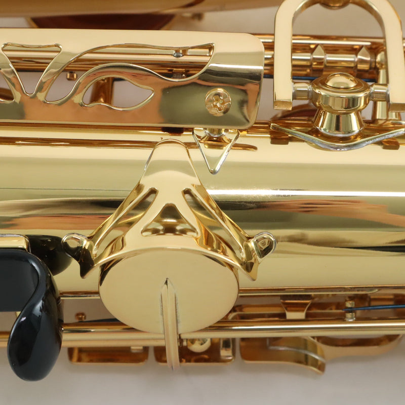 Yamaha Model YAS-62III Professional Alto Saxophone MINT CONDITION- for sale at BrassAndWinds.com