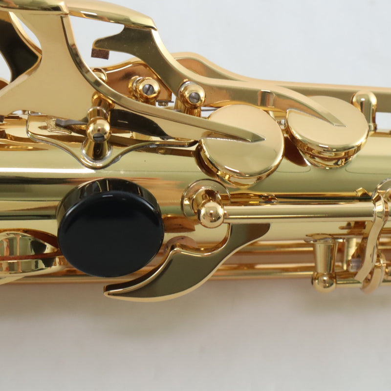 Yamaha Model YAS-62III Professional Alto Saxophone MINT CONDITION- for sale at BrassAndWinds.com