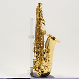 Yamaha Model YAS-62III Professional Alto Saxophone SN F45287 SUPERB- for sale at BrassAndWinds.com