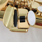 Yamaha Model YAS-875EXII 'Custom EX' Alto Saxophone MINT CONDITION- for sale at BrassAndWinds.com
