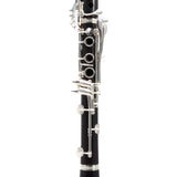 Yamaha Model YCL-SEVR Custom Professional Bb Clarinet MINT CONDITION- for sale at BrassAndWinds.com