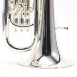 Yamaha Model YEP-642TSII 'Neo' Professional Euphonium SN 728038 GORGEOUS- for sale at BrassAndWinds.com